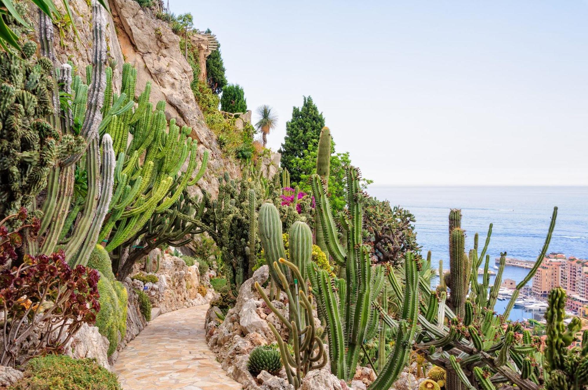 Sejour En Pleine Nature, Vue Imprenable, Jacuzzi Contes  Buitenkant foto